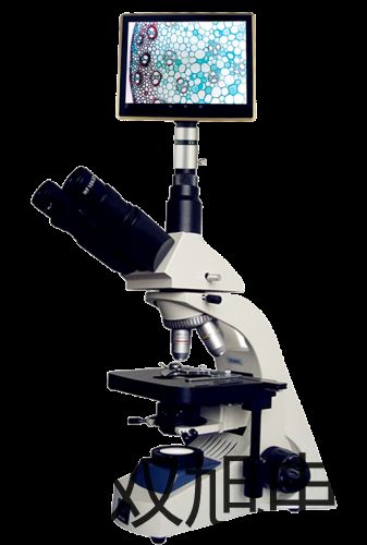 ���p���ơ������ƽCPA623S�S��