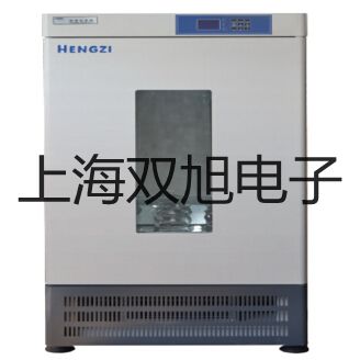 【雙旭牌】YZS-102YZS102雙針壓力表銷售