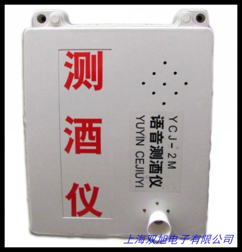 便攜式氣體檢測(cè)儀BW-M501USB上傳電腦接口 可燃?xì)怏w探測(cè)器