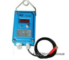 RZ30-DA090料位開關(guān)