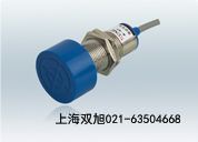 JDR60料位開(kāi)關(guān)