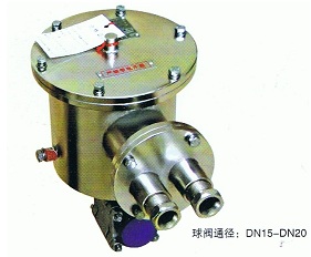 �؝��¶�c�xDPMS3